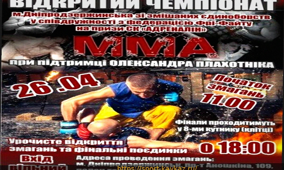 В Каменском прошел Открытый чемпионат Днепропетровской области по ММА